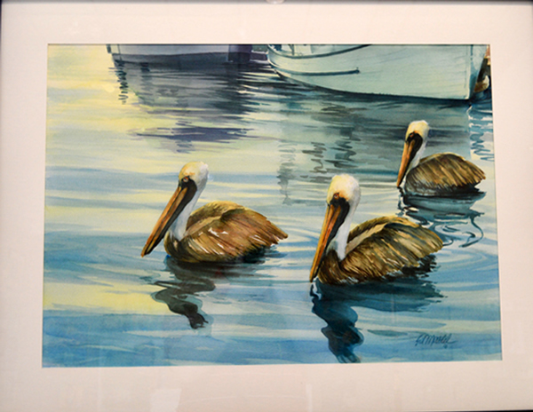 Back Bay Pelicans