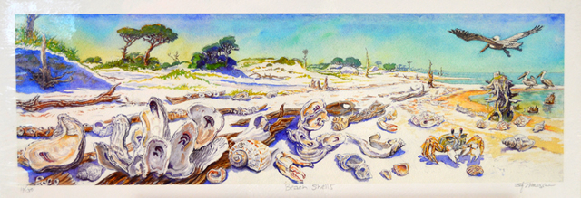 Beach Shells C